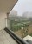 SYSTEM TAREE.webp